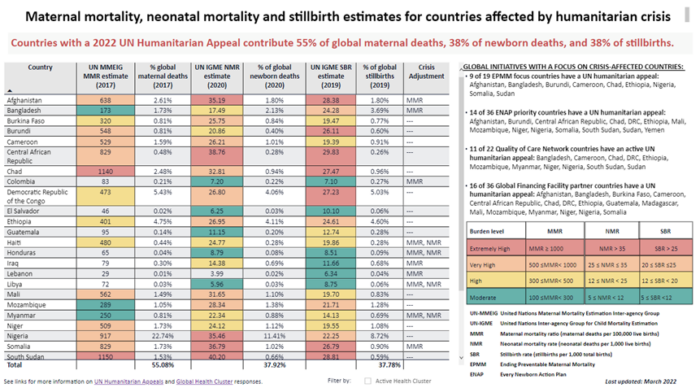Screenshot of AlignMNH Mortality in Humanitarian Settings Dashboard