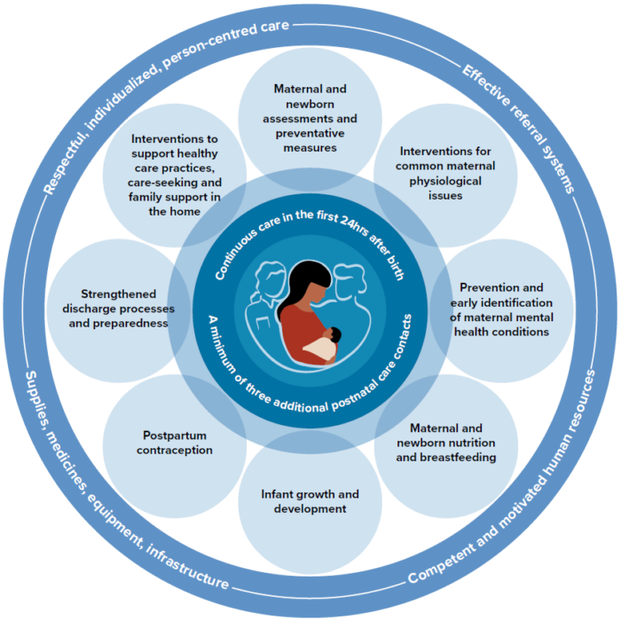 Care during pregnancy: Family-centred maternity and newborn care national  guidelines 