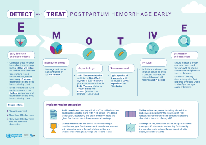 Q&A: Implementation Considerations of New WHO Recommendations for Postpartum Hemorrhage banner image